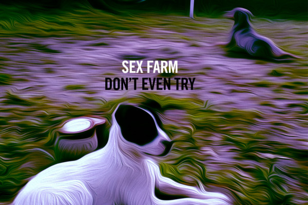Listen To The New Single By Sex Farm