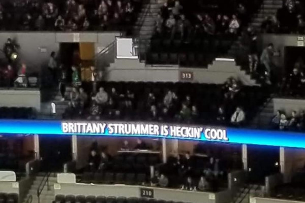 New Reviews for April 3, 2019