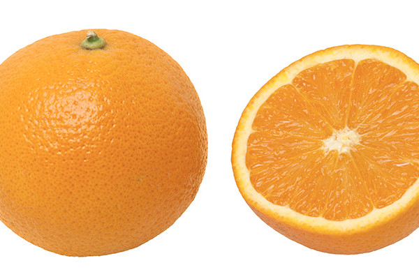 Navel Gazing for September 8th, 2019