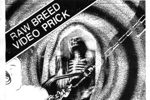 Raw Breed and Video Prick announce split EP, release new songs