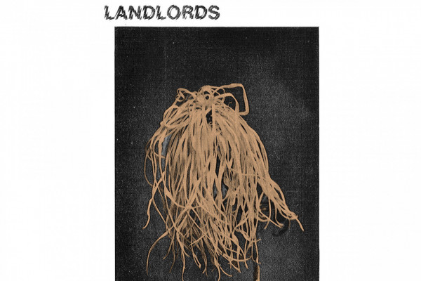 New Reviews for August 30, 2022