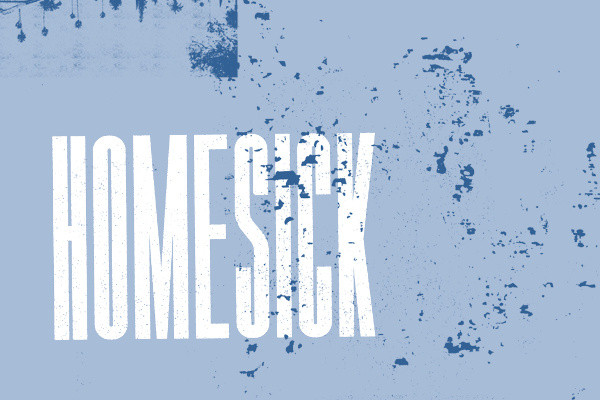 HOMESICK FEST Returns! Initial Lineup Revealed: Snail Mail, Deafheaven,  Sheer Mag, Fiddlehead, Lilys, Screaming Females, Margaritas Podrida, Spy &  More! – R o c k 'N' L o a d