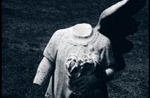 Win a limited 7-inch from Alkaline Trio