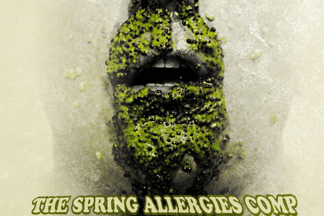 Catbite, Pi2tl, Goddamnit, Insignificant Others, Barren Marys on 'Spring Allergies' comp