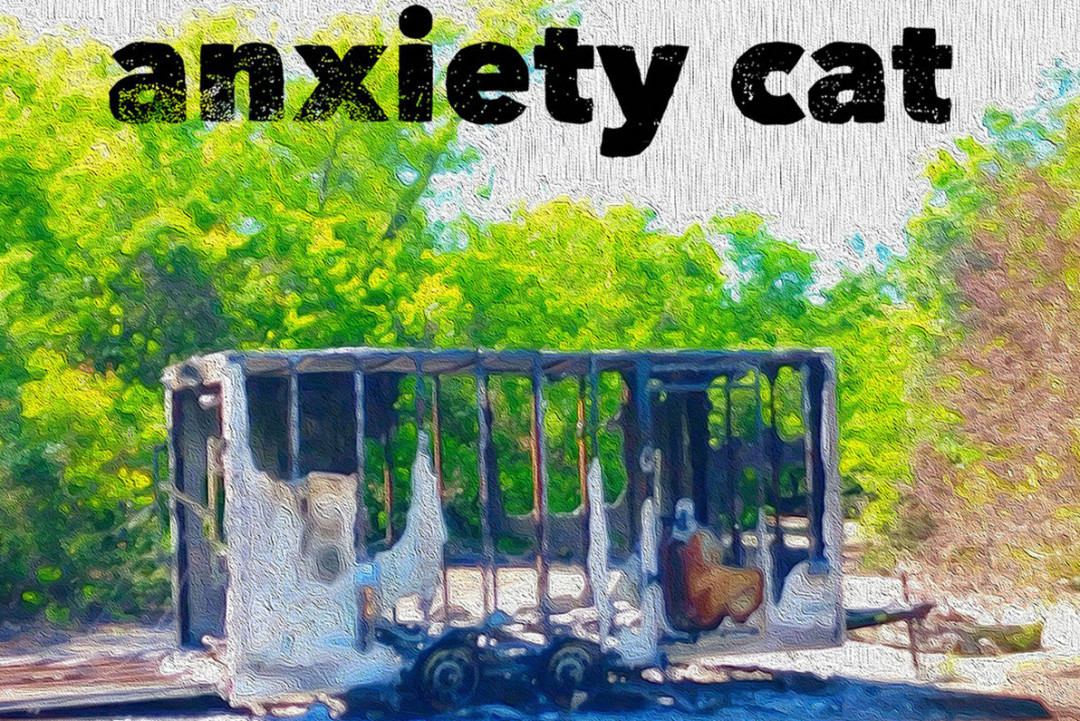 Anxiety Cat (Rob of Taxpyers) releases 'The End of Reality as We Know It'