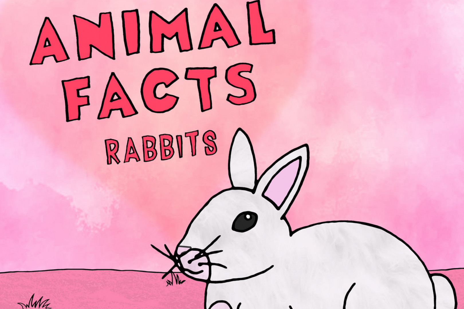 Animal Facts release "Rabbits"