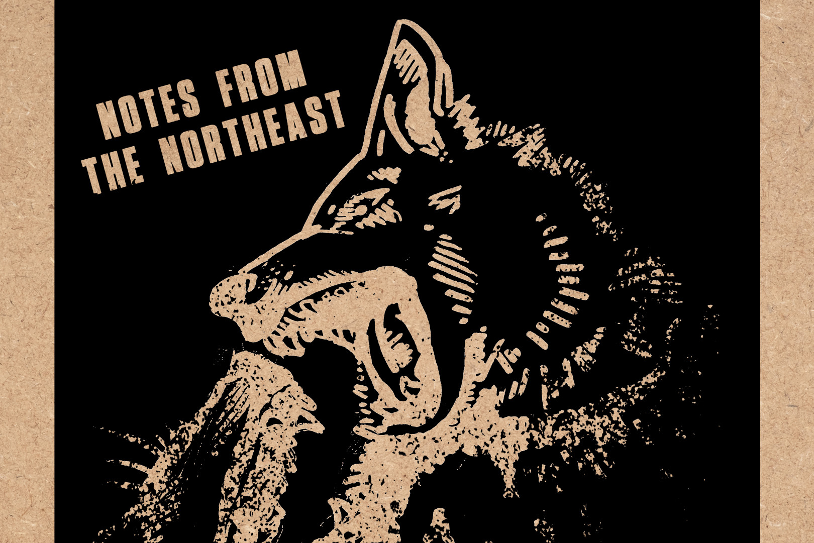 Immigrant Sun Records announce 'Notes From The Northeast' comp