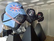 Challenge of the PogoBots