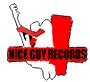 Nice Guy Records